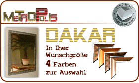 Alurahmenspiegel - Dakar