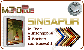 Alurahmenspiegel - Singapur