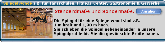 Spiegelwand Spiegelw&auml;nde