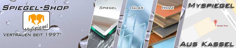 Spiegel-Shop Header