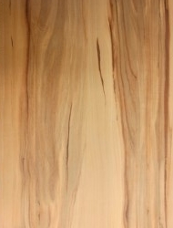 Dekorholz Kernapfel - Holzzuschnitt 